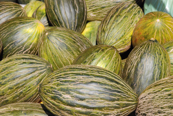 Melón