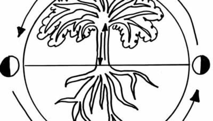 El primer calendario biodinámico automático