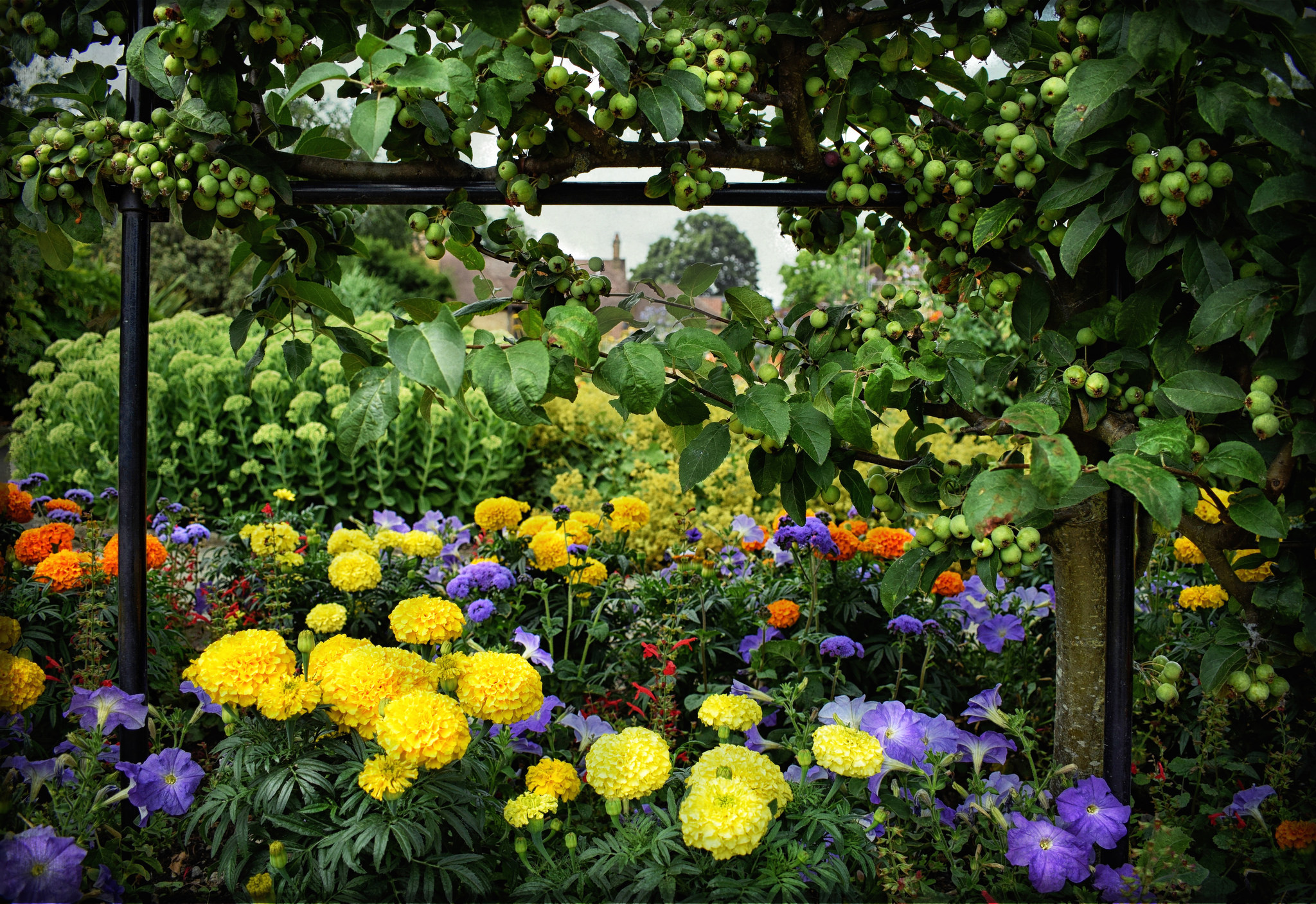 Huerto en septiembre