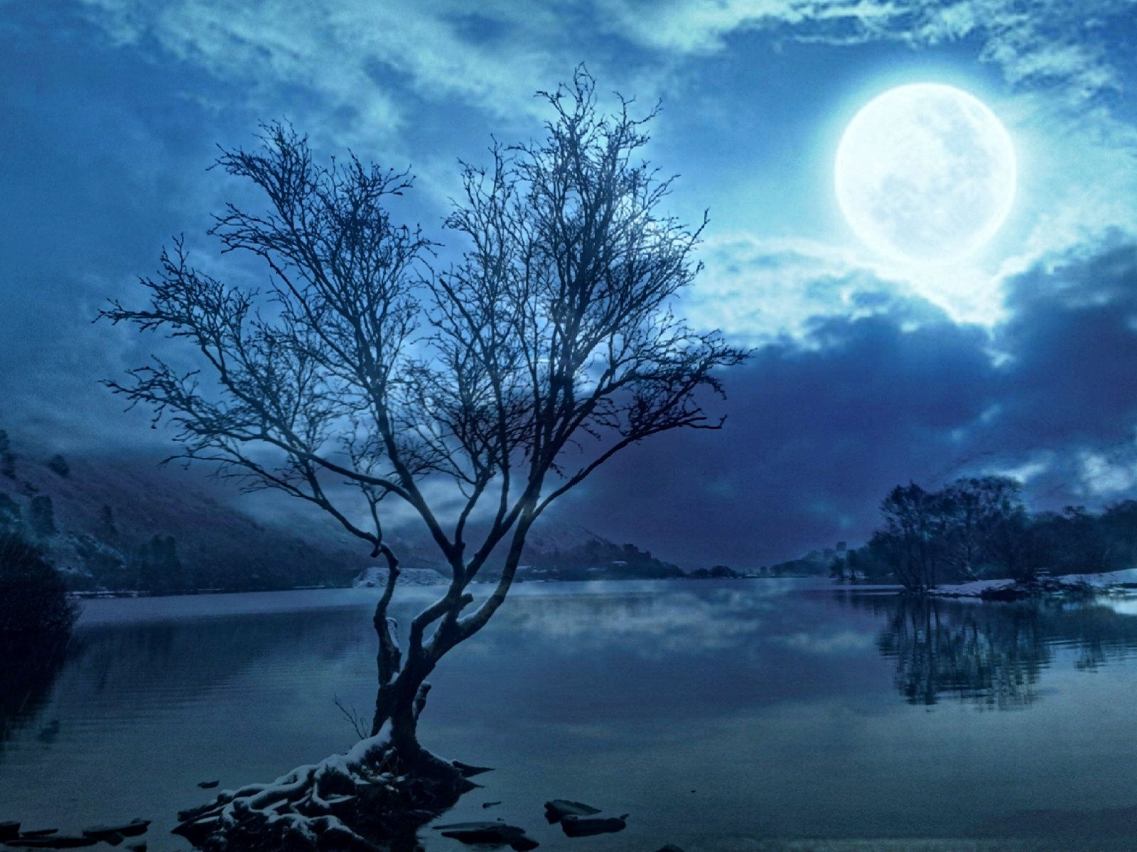 La influencia lunar en las plantas