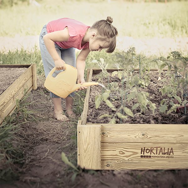 Cajón de cultivo Box