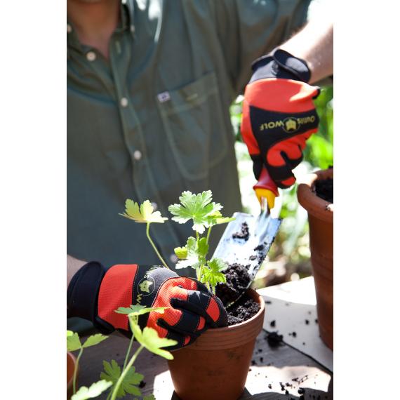 Trasplantadora de campo pesado